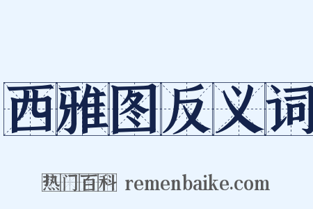 西雅图反义词是什么意思的图片